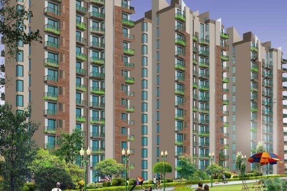 Caladium Gurgaon